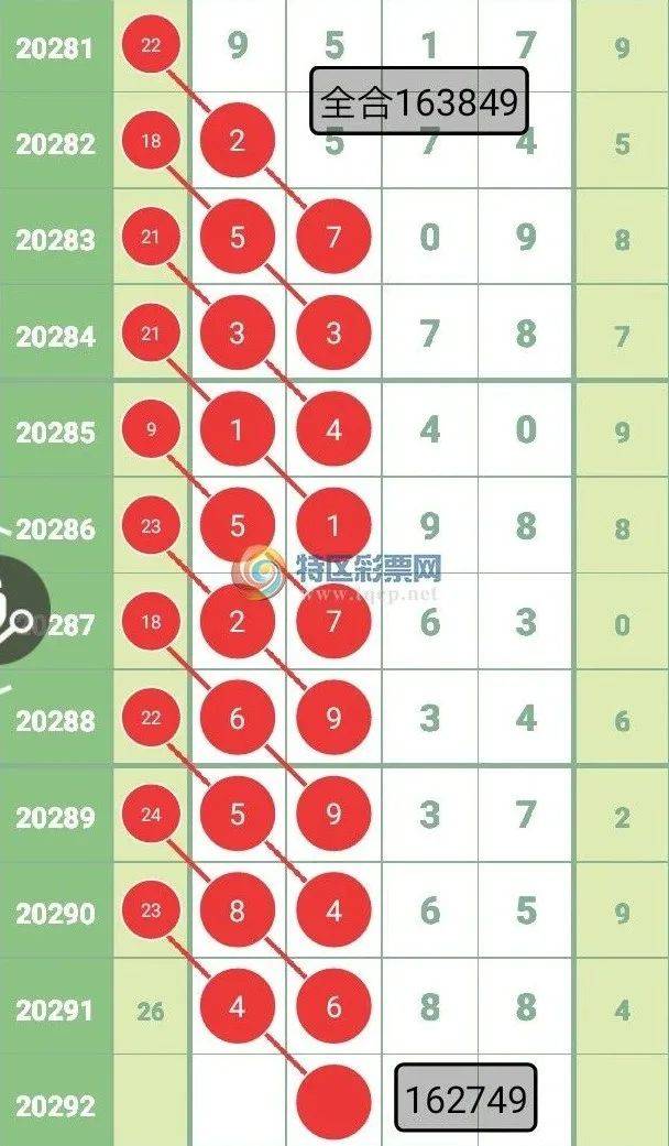 2024年一肖一码一中一特,实证分析解释落实