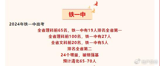 2024年一肖一码一中一特,准确资料解释落实