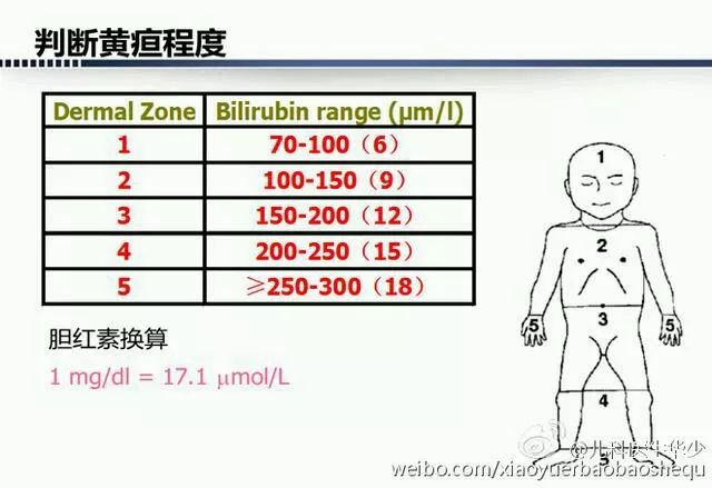 新生儿黄疸的正常值及其管理，出生一个月内的关键考量