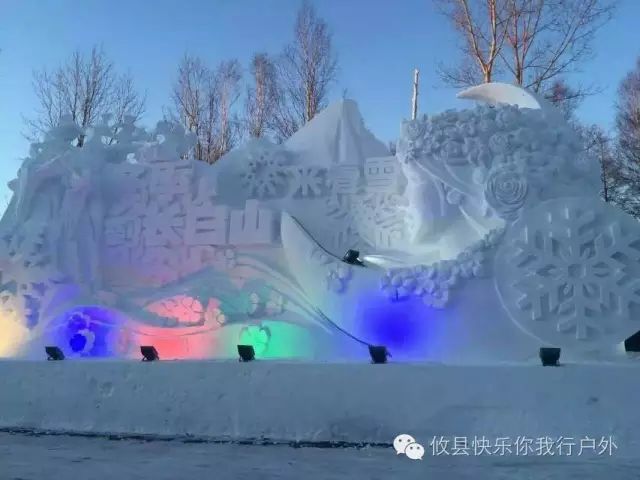 广东省冰雪梦绘画，绽放的艺术之光