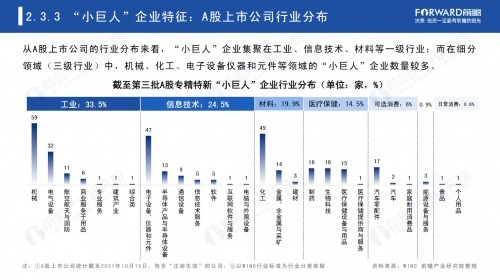 广东伊人有限公司，历史沿革、业务布局与企业文化展望